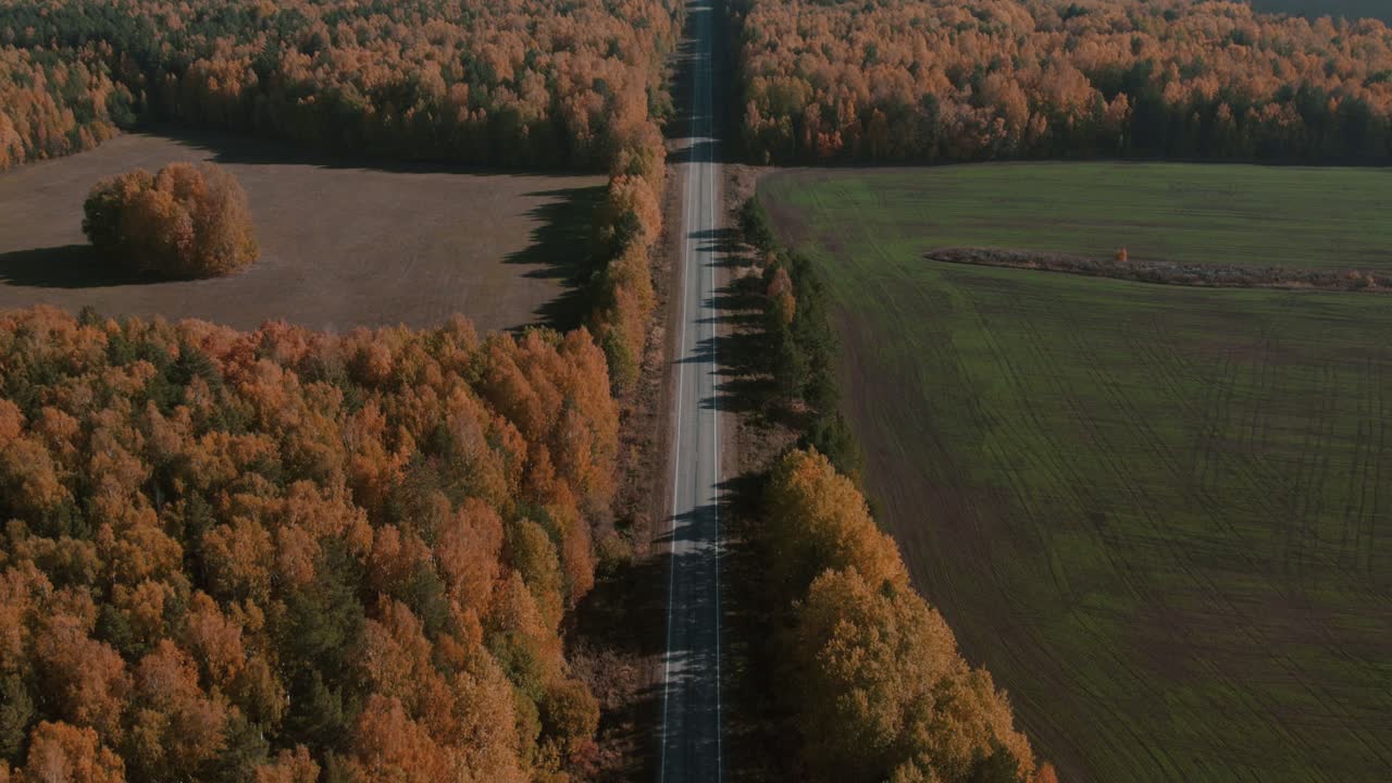 Droneoptagelser af en lang lige vej, der skærer gennem farverig efterårsskov og landbrugsjord, set ovenfra i Ural-regionen, Rusland, under den gyldne efterårssæson.