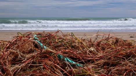 static view of seaweed and ropes mangled along the coast in los arenales del sol, near alicante city, spain after a storm hit