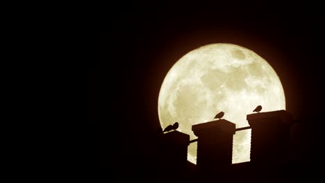 birds on a water tower under a super moon.