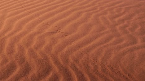 textured wind patterns on red sand dunes in vast, remote wilderness of wadi rum desert in jordan, middle east