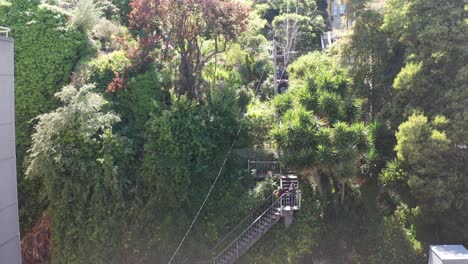 tomada aérea de primer plano de las largas escaleras de filbert subiendo la colina del telégrafo hacia la torre coit en san francisco, california