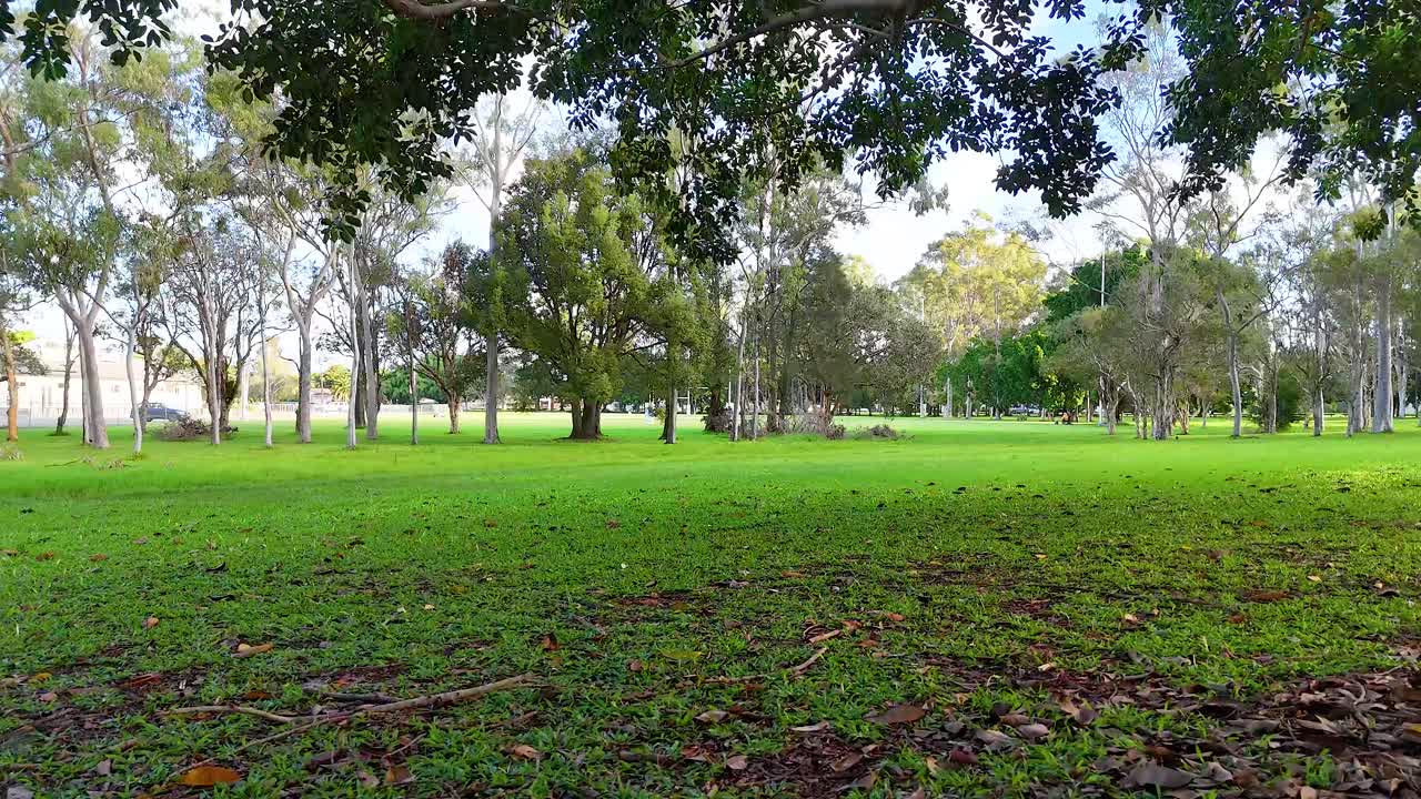 A tranquil park scene with a bench under trees, showcasing natural beauty and calmness in Gold Coast, Australia