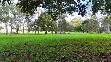 a tranquil park scene with a bench under trees, showcasing natural beauty and calmness in gold coast, australia