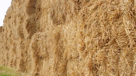 hay parallelepipeds well stacked on each other.