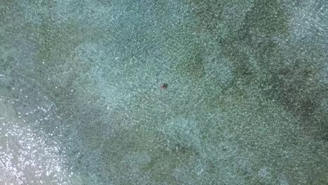 woman in crystal clear water
wonderful aerial view flight drone camera pointing down footage of gili trawangan beach bali lombok indonesia