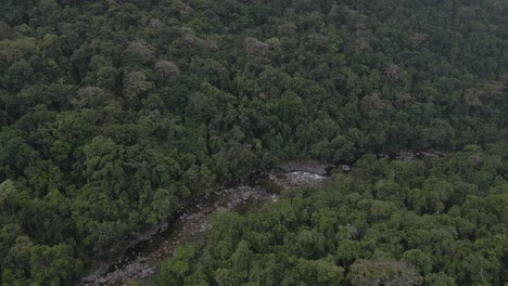 Greenery-Landscape-Of-Forest-With-Flowing-River-In-Mossman-Gorge-In-the-Shire-of-Douglas,-Queensland,-Australia