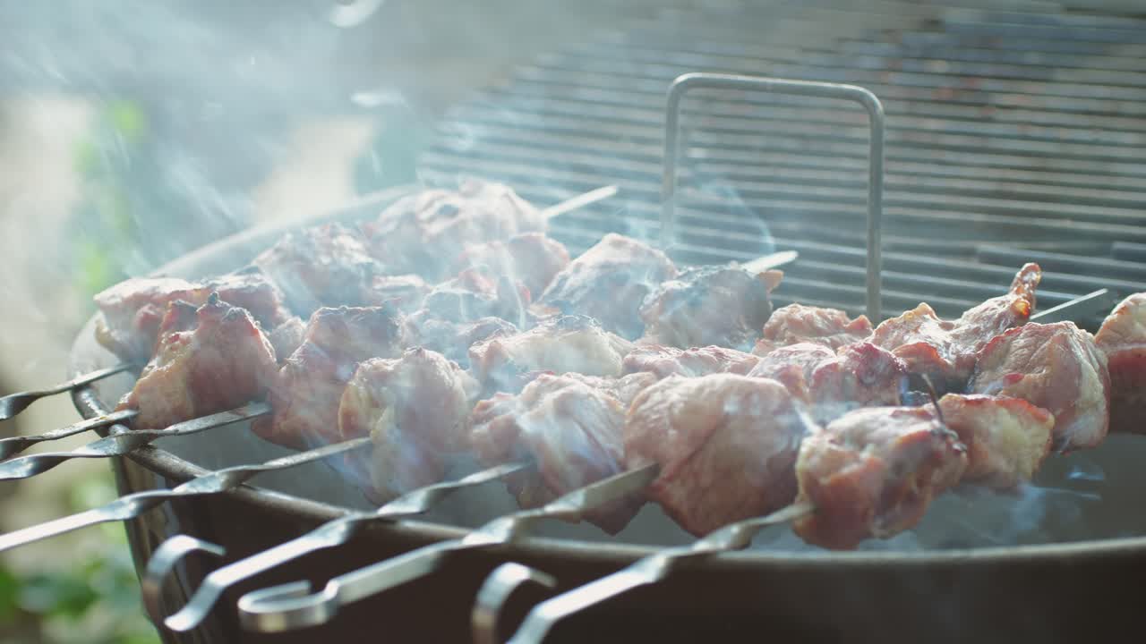 Grilled Pork Kebabs on a Barbecue