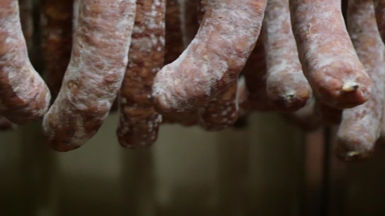 Curing sausages, hanging in a traditional drying room. The artisanal process of this quality Spanish sausage