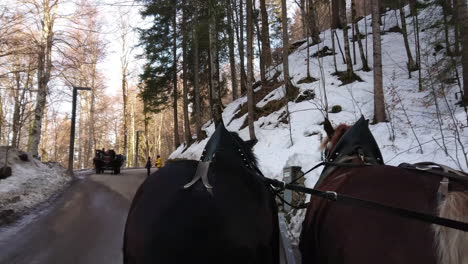 Bayerische-Pferde,-Die-Eine-Gruppe-Von-Touristen-Für-Eine-Fahrt-Zum-Schloss-Neuschwanstein-Tragen,-Aus-Der-Ansicht-Der-Kutsche-4k-Filmmaterial