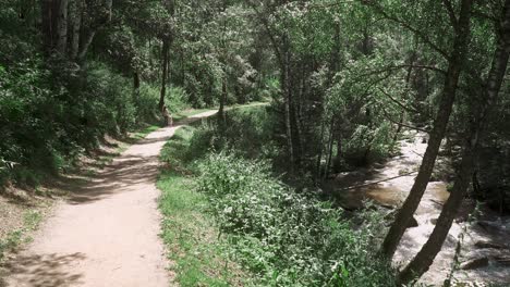 young beautiful mother with a little child walking along the trees in the forest near river