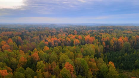 A-beautiful-aerial-view-of-dense-woody-terrain-with-colorful-autumn-foliage,-orange-and-red-leafs