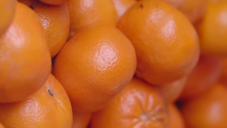 hand picking oranges