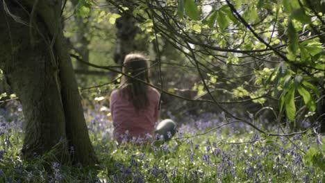 carefree woman relaxing in bluebell woodland