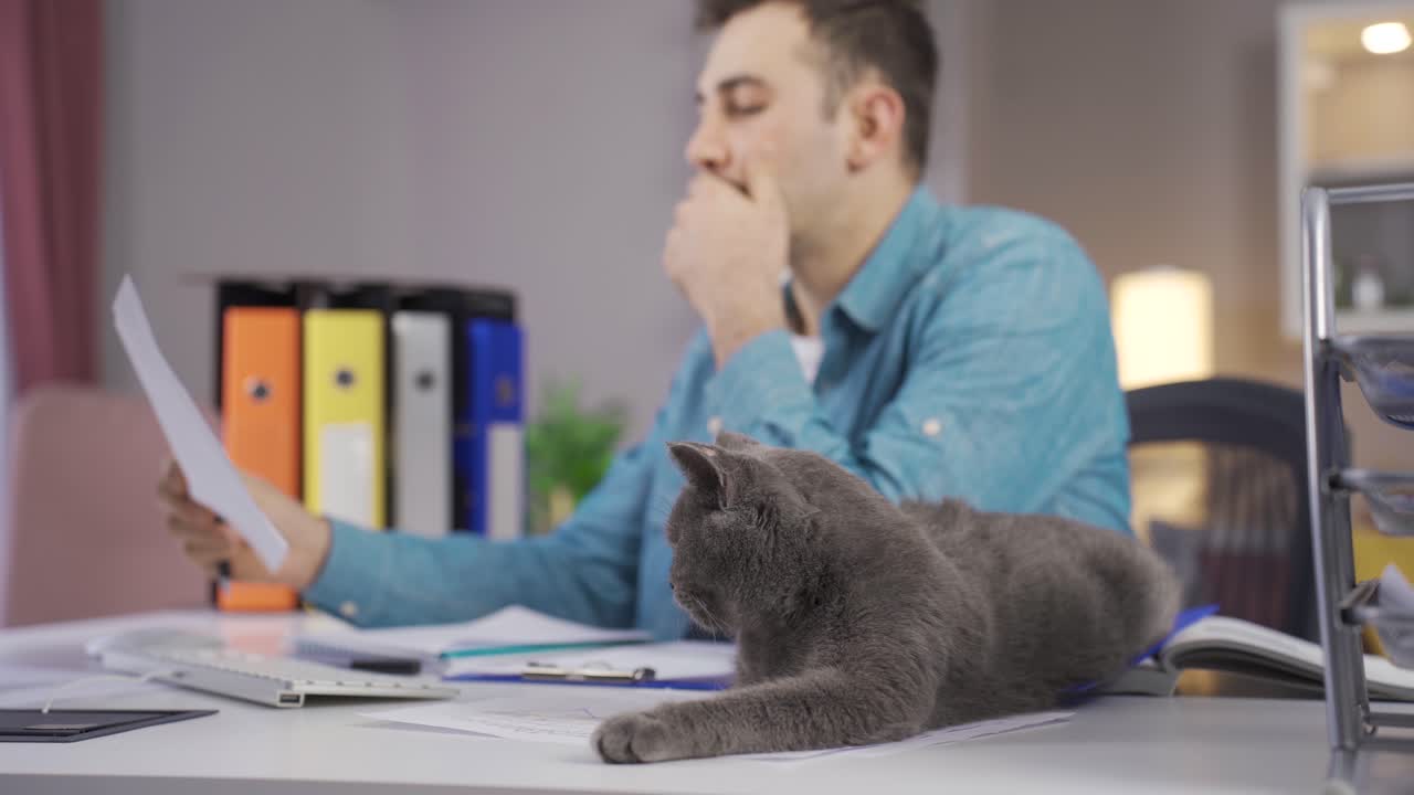 Man working in home office and his gray cat.