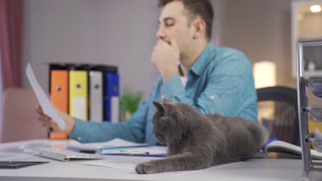 man working in home office and his gray cat.