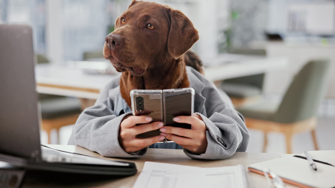 Dog dressed as businessman in office