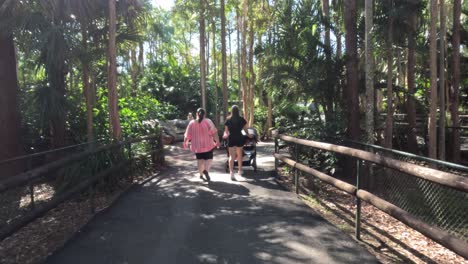 two women walking with a pram in the zoo