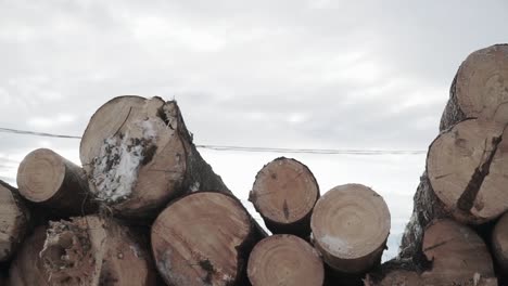 stacked logs