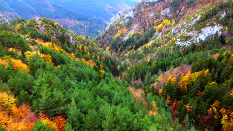 Luftaufnahme,-Die-Zurück-In-Die-Herbstbäume-Zwischen-Bergen-In-Den-Spanischen-Pyrenäen-Fliegt