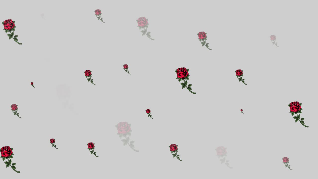 회색 배경에서 최면 운동으로 움직이는  ⁇ 은 꽃의 애니메이션