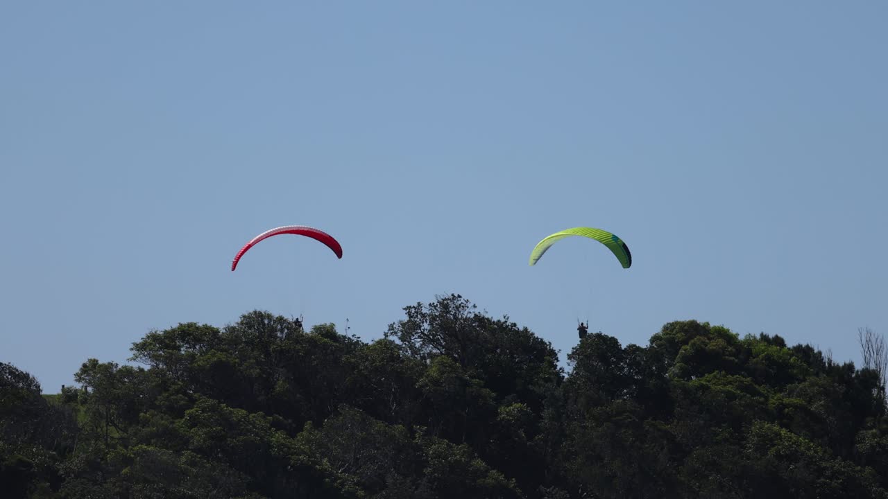 dos parapentes se deslizan por encima de un bosque verde exuberante