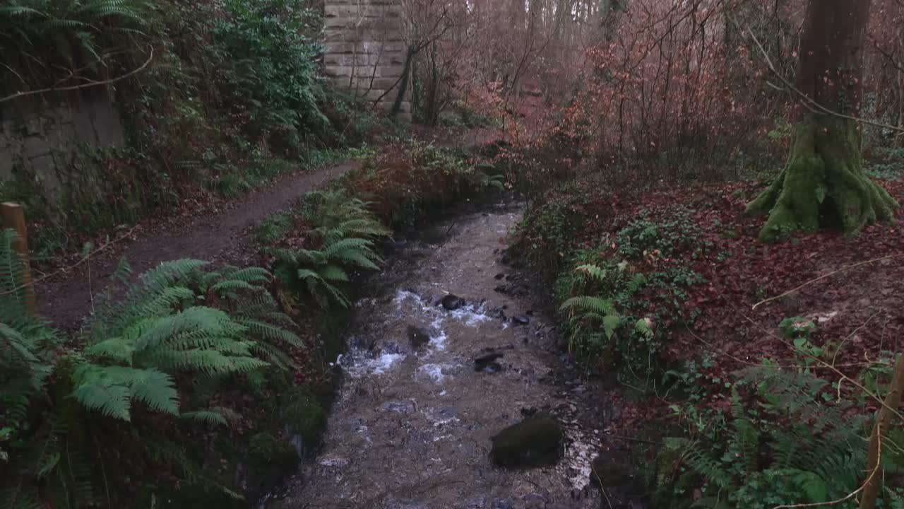 mirando hacia abajo desde el puente de piedra hasta el río
