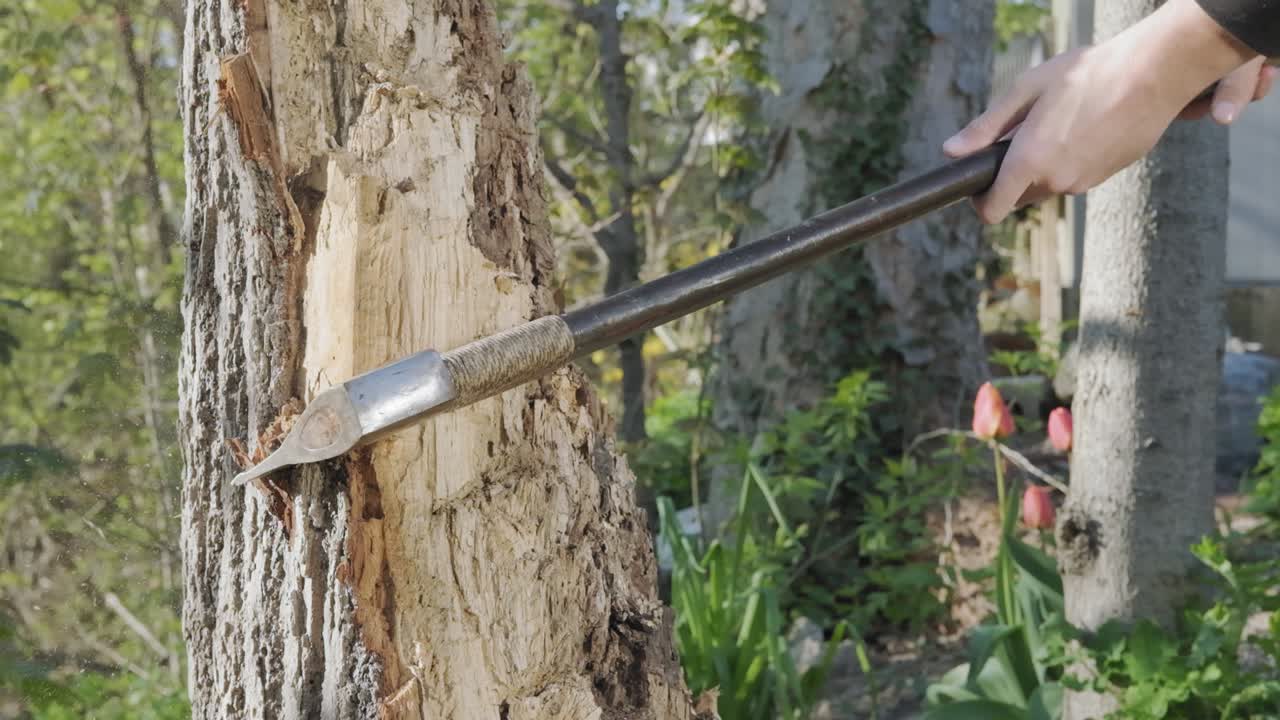 impresionante toma de un joven cortando su hacha en un árbol