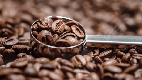 close up of seeds of coffee. fragrant coffee beans are roasted smoke comes from coffee beans.