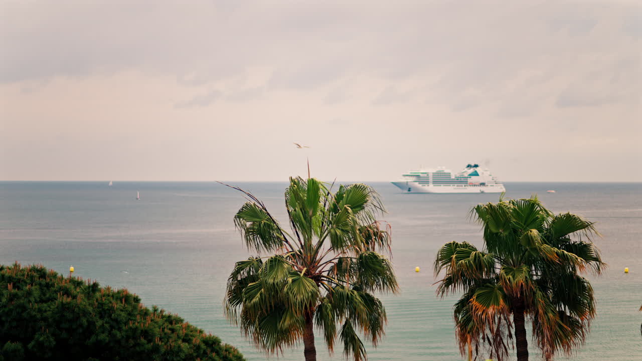 Palm trees with a distant blurred view of a white cruise ship moving on the sea on a cloudy day
