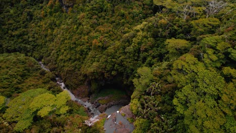 vista aérea de 4k de la selva tropical, cascadas y aves silvestres