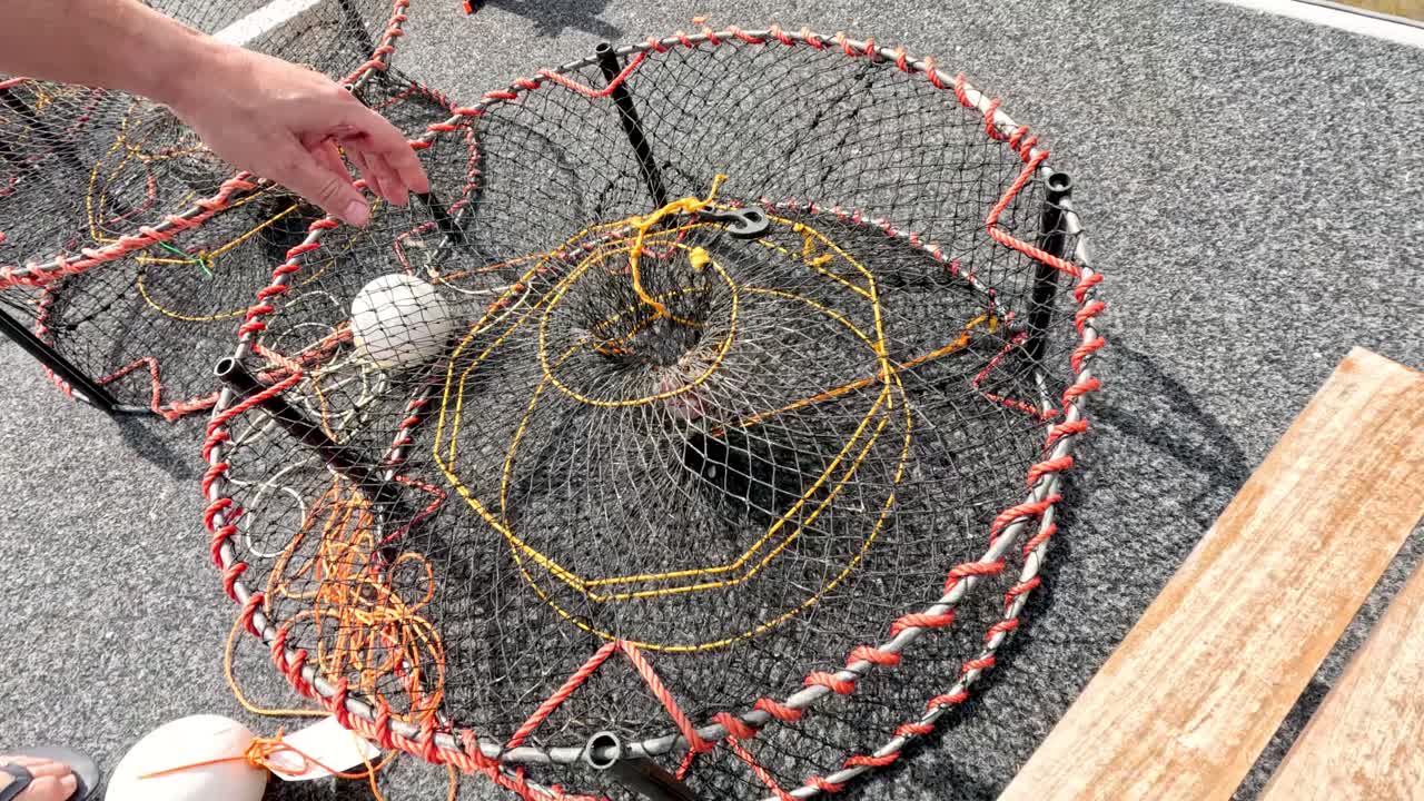 암을 유인하고 암 을 세우는 사람