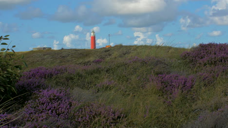 wide angle steady shot of heather in the foreground