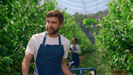 Socios-Empleados-Agrícolas-Que-Trabajan-En-Tierras-De-Cultivo-Cosechando-Cerezas-Monitoreando-El-Crecimiento