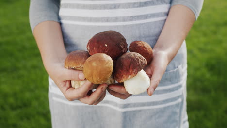 woman holding boletus mushrooms in hands