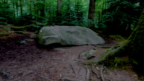 painted cow sculpture in lush forest setting