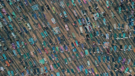 yoga participants line up with blue mats in public park joining in meditation, aerial top down perspective