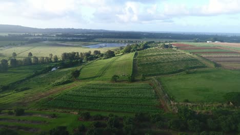 Aerial-view-over-a-farm-land-and-green-fields-in-the-countryside