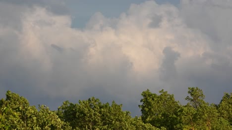 Storm-clouds-with-soft-yellow-center-surrounded-by-grey-white-color-blow-above-wind-swept-forest