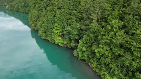 Peaceful-lake-shores-surrounded-by-lush-green-coniferous-trees