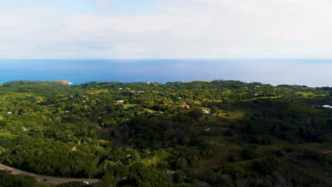 Aerial-View-Drone-Shot-Twin-Falls-Maui-Hawaii-Greenery