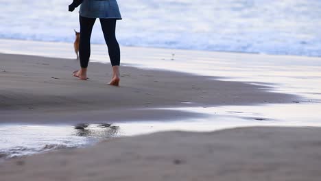 Eine-Frau-Und-Ihr-Kleiner,-Süßer-Hund-Machen-Einen-Gemütlichen-Spaziergang-Am-Strand-Entlang.-Das-Rauschen-Der-Sanften-Wellen-Und-Die-Erfrischende-Meeresbrise-Bilden-Eine-Ruhige-Kulisse-Für-Ihren-Friedlichen-Spaziergang