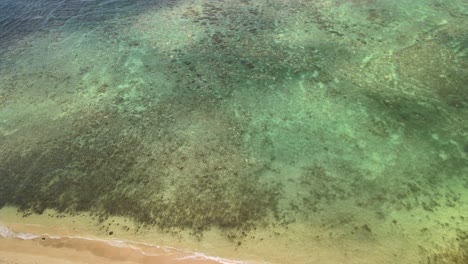 Vista-De-Arriba-Hacia-Abajo-Del-Arrecife-En-Oahu