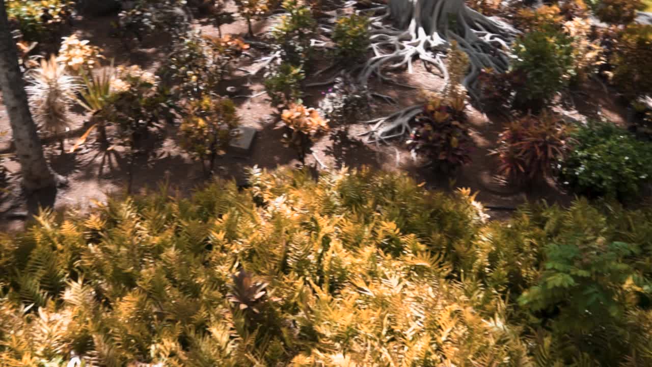 árboles verdes en hawaii sol verde deliciosas plantas tropicales