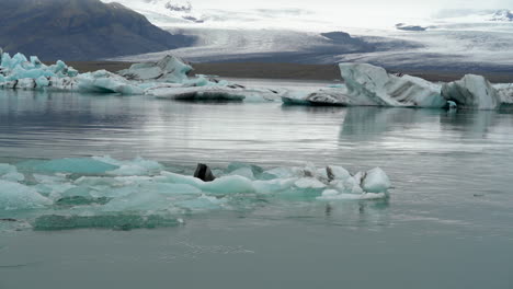 scenic view of icebergs in jokulsarlon glacier lagoon, iceland - wide, static shot