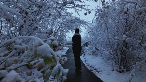 woman walking in slow motion through snow-covered forest near neuschwanstein castle