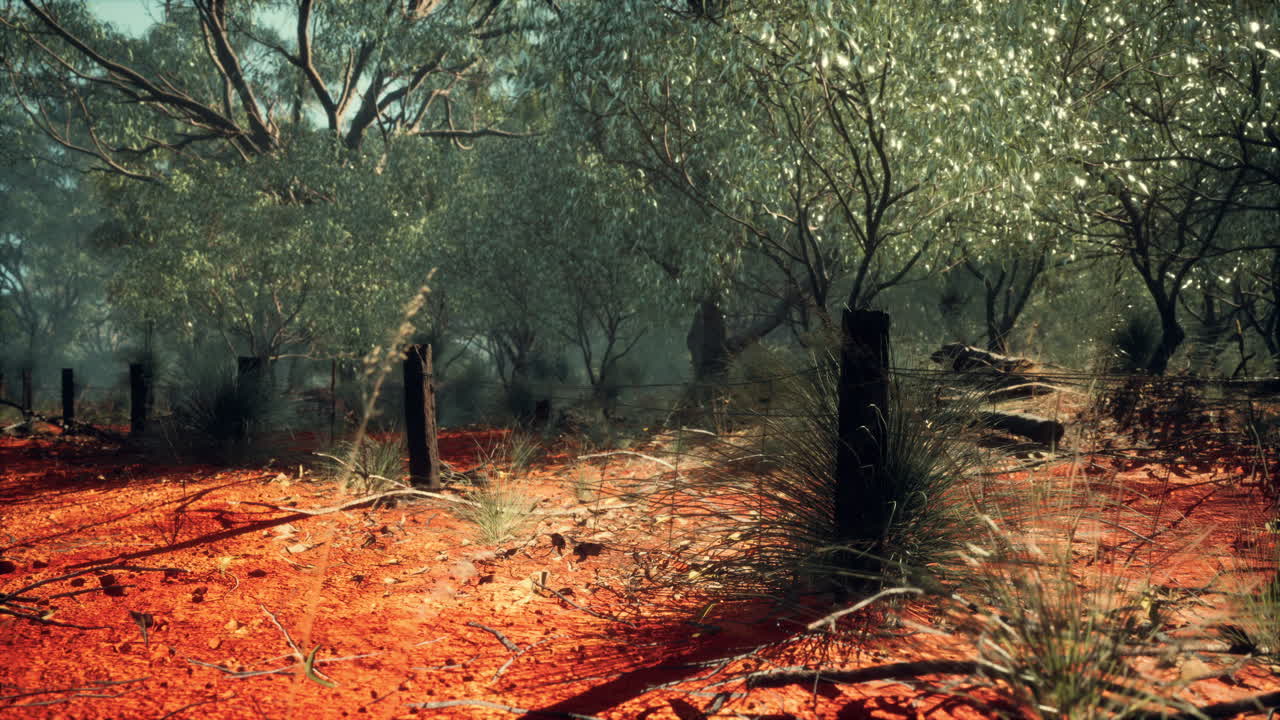 valla de dingo en el interior de australia