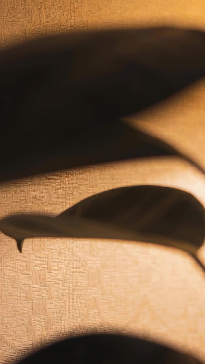 Vertical video: Shifting warm light making plant leaves drifting and casting shadows on woven wall