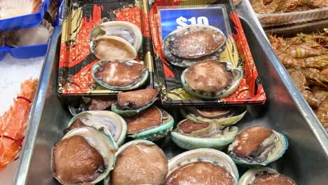 close-up view of fresh abalone and shellfish on ice at a market stall.