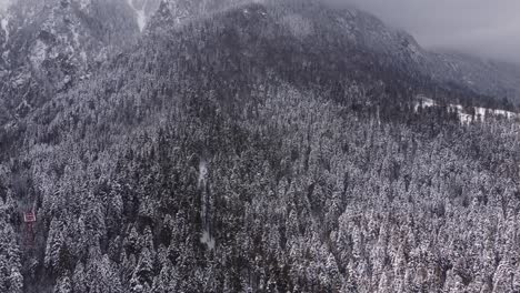 Drohnenaufnahme-Von-Bergen-Und-Kiefern