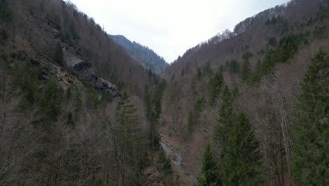 Aerial-ascend-above-tree-canopy-with-evergreens-and-decidious-vegetation-against-rocky-exposed-cliff-in-valley